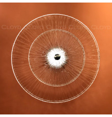 Светильник настенный Cloyd Helion 20351