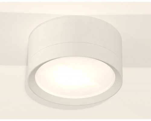 Дополнительное фото Светильник потолочный Ambrella Light Techno Spot XS8101001 (C8101, N8112): Купить в Интернет магазин освещения GCSVET.RU
