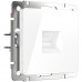 Основное фото Розетка Ethernet RJ-45 Werkel белый W1181001 4690389155369: Купить в Интернет магазин освещения GCSVET.RU