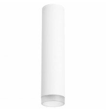 Светильник потолочный Lightstar RULLO R49630 (214496+202430)