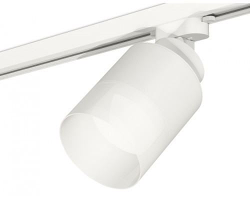 Основное фото Светильник трековый Ambrella Light Track System XT8110002 (A2524, A2105, C8110, N8402): Купить в Интернет магазин освещения GCSVET.RU
