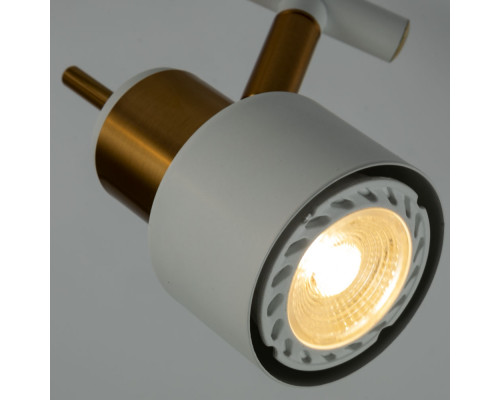 Дополнительное фото Светильник спот Arte Lamp ALMACH A1906PL-2WH: Купить в Интернет магазин освещения GCSVET.RU