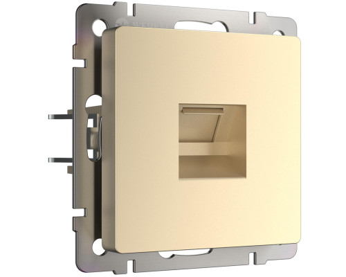 Основное фото Розетка Werkel Ethernet RJ-45 шампань W1181011 4690389157479: Купить в Интернет магазин освещения GCSVET.RU