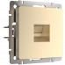 Основное фото Розетка Werkel Ethernet RJ-45 шампань W1181011 4690389157479: Купить в Интернет магазин освещения GCSVET.RU