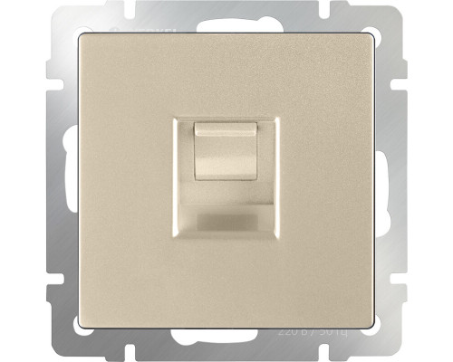 Дополнительное фото Розетка Werkel Ethernet RJ-45 шампань W1181011 4690389157479: Купить в Интернет магазин освещения GCSVET.RU