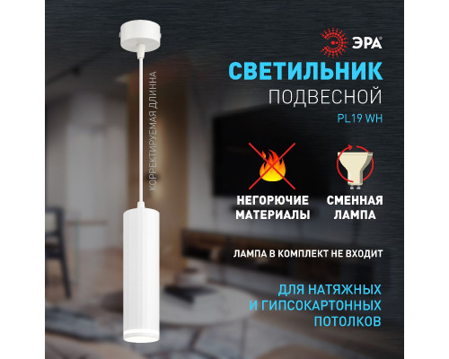 Дополнительное фото Светильник подвесной Эра PL19 WH Б0058491: Купить в Интернет магазин освещения GCSVET.RU