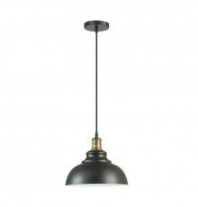 Светильник подвесной Lumion Dario 3675/1