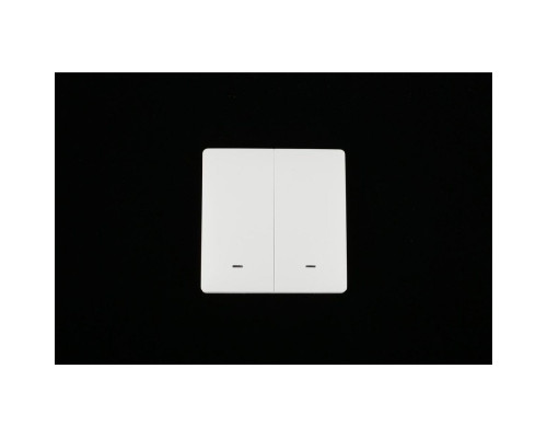 Дополнительное фото Выключатель двухклавишный Aployt Magnetic track 220 APL.0190.00.02: Купить в Интернет магазин освещения GCSVET.RU