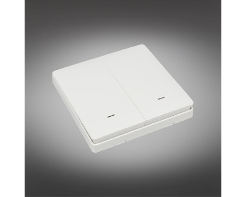 Дополнительное фото Выключатель двухклавишный Aployt Magnetic track 220 APL.0190.00.02: Купить в Интернет магазин освещения GCSVET.RU