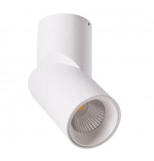 Светильник накладной ARTE Lamp A7717PL-1WH