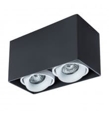 Светильник потолочный Arte Lamp Pictor A5654PL-2BK