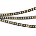 Основное фото Лента светодиодная Arlight RT-A160-BLACK-8mm 24V Day4000 (12 W/m, IP20, 5m) 029427(2): Купить в Интернет магазин освещения GCSVET.RU
