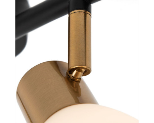 Дополнительное фото Светильник спот Arte Lamp Falena A3117PL-4BK: Купить в Интернет магазин освещения GCSVET.RU