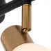 Дополнительное фото Светильник спот Arte Lamp Falena A3117PL-4BK: Купить в Интернет магазин освещения GCSVET.RU