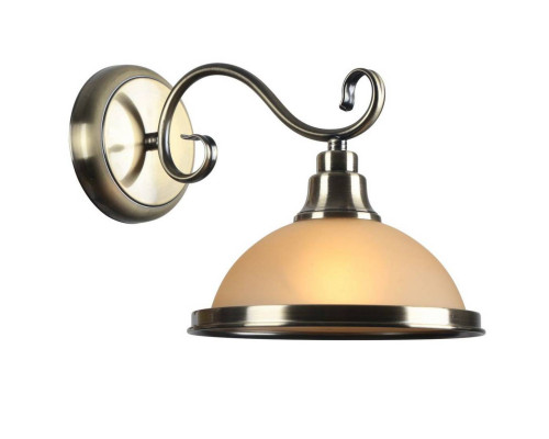 Основное фото Настенный светильник Arte Lamp Safari A6905AP-1AB: Купить в Интернет магазин освещения GCSVET.RU