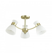 Люстра потолочная Lumion Wilma 4535/3C