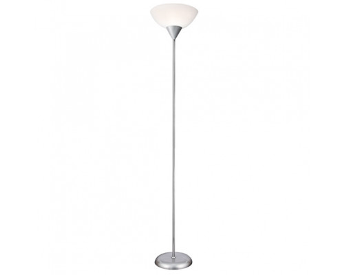 Основное фото Напольный светильник Arte Lamp Duetto A9569PN-1SI: Купить в Интернет магазин освещения GCSVET.RU