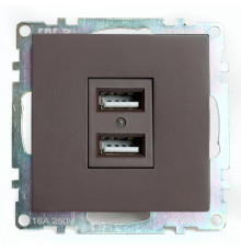 Розетка USB 2-местная Stekker Катрин GLS10-7115-04 49027