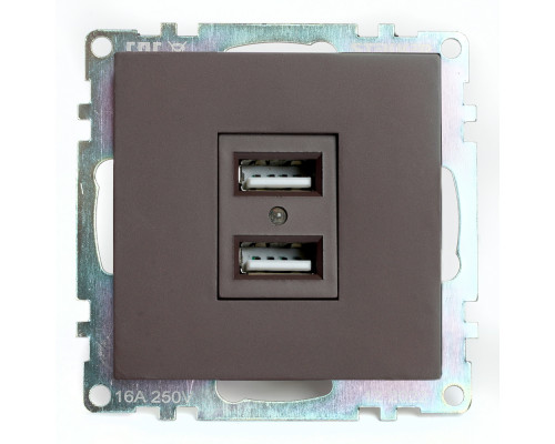 Основное фото Розетка USB 2-местная Stekker Катрин GLS10-7115-04 49027: Купить в Интернет магазин освещения GCSVET.RU