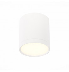 Светильник потолочный ST Luce Rene ST113.532.05