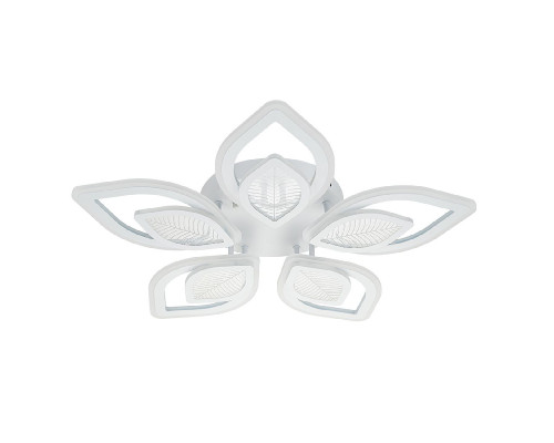 Дополнительное фото Люстра потолочная Escada Anise 10288/10LED: Купить в Интернет магазин освещения GCSVET.RU