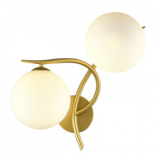 Настенный светильник Evoluce Artu SLE2210-201-02