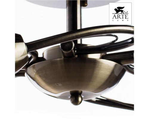 Дополнительное фото Люстра потолочная Arte Lamp 3 A6056PL-5AB: Купить в Интернет магазин освещения GCSVET.RU