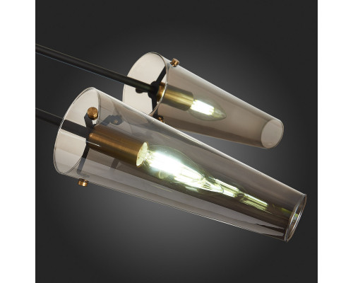 Дополнительное фото Люстра потолочная ST Luce Morave SL1209.302.06: Купить в Интернет магазин освещения GCSVET.RU