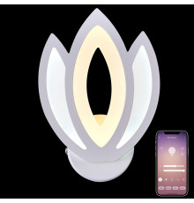 Светильник настенный Natali Kovaltseva LED LAMPS 81124/1W