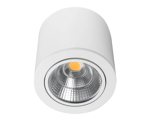 Основное фото Светильник накладной Arlight SP-FOCUS-R140-30W Warm White 021066: Купить в Интернет магазин освещения GCSVET.RU