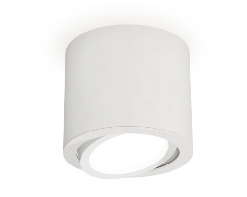 Основное фото Спот накладной (поворотный) Ambrella Light Techno XS7401001 (C7401, N7001): Купить в Интернет магазин освещения GCSVET.RU