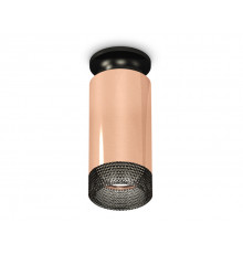 Светильник потолочный Ambrella Light Techno Spot XS6326102 (N6902, C6326, N6156)