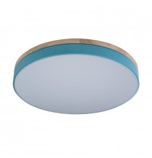 Светильник потолочный Loft IT AXEL 10001/36 Blue