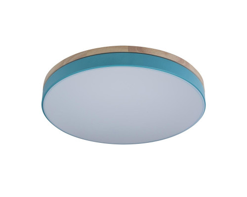 Основное фото Светильник потолочный Loft IT AXEL 10001/36 Blue: Купить в Интернет магазин освещения GCSVET.RU