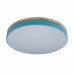 Дополнительное фото Светильник потолочный Loft IT AXEL 10001/36 Blue: Купить в Интернет магазин освещения GCSVET.RU