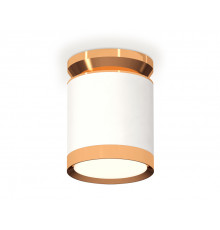 Светильник потолочный Ambrella Light Techno Spot XS8141030 (N8909, C8141, N8124)