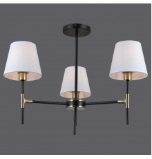 Люстра потолочная Illumico IL0185-3CSQ-24 BK AB CASTOR