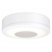 Дополнительное фото Светильник потолочный LED Paulmann LightSound 92096: Купить в Интернет магазин освещения GCSVET.RU