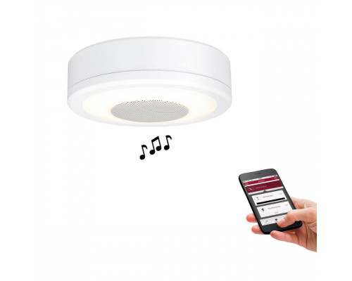 Дополнительное фото Светильник потолочный LED Paulmann LightSound 92096: Купить в Интернет магазин освещения GCSVET.RU