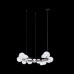 Дополнительное фото Люстра подвесная Loft IT Molecule 10023/850: Купить в Интернет магазин освещения GCSVET.RU