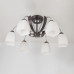 Дополнительное фото Люстра потолочная Citilux Крокус CL128161: Купить в Интернет магазин освещения GCSVET.RU