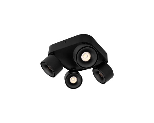 Основное фото Светильник спот Loft IT Case 10326 Black: Купить в Интернет магазин освещения GCSVET.RU