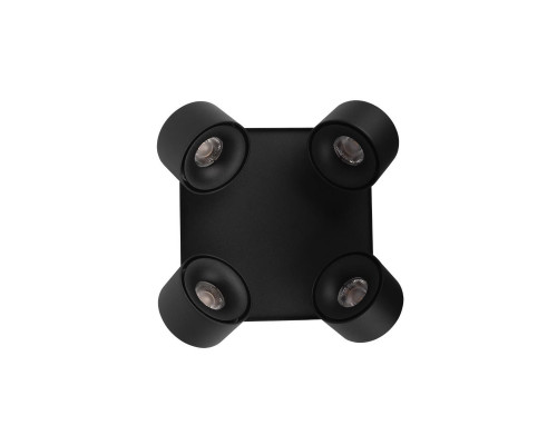 Дополнительное фото Светильник спот Loft IT Case 10326 Black: Купить в Интернет магазин освещения GCSVET.RU
