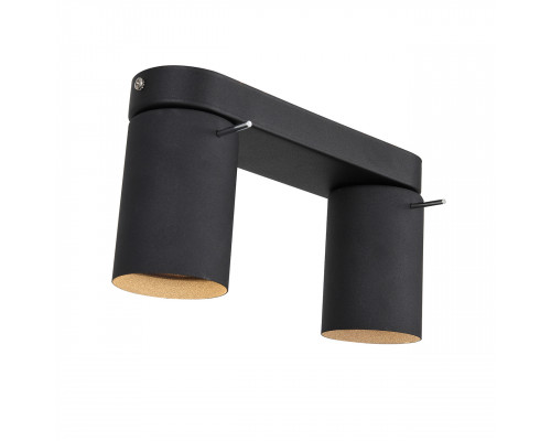 Дополнительное фото Светодиодный Светильник спот ST Luce Fanale SL597.401.02: Купить в Интернет магазин освещения GCSVET.RU