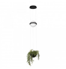 Светильник подвесной Loft IT Jardin 10121/B