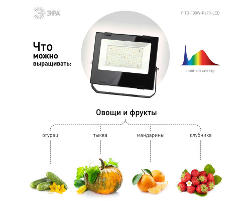 Дополнительное фото Светильник для растений Эра Б0047876: Купить в Интернет магазин освещения GCSVET.RU