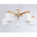 Дополнительное фото Люстра потолочная Ambrella Light Loft TR83118: Купить в Интернет магазин освещения GCSVET.RU