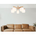 Дополнительное фото Люстра потолочная Ambrella Light Loft TR83118: Купить в Интернет магазин освещения GCSVET.RU