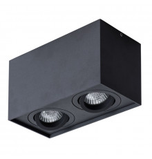 Светильник потолочный Arte Lamp Factor A5544PL-2BK