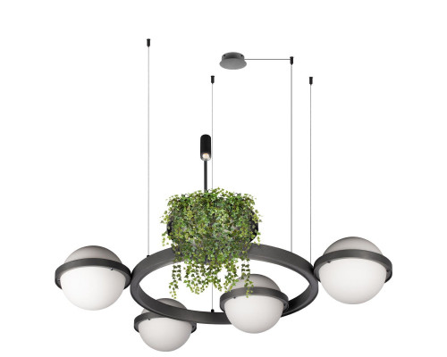 Дополнительное фото Люстра подвесная Loft IT Jardin 10121/4 Dark grey: Купить в Интернет магазин освещения GCSVET.RU
